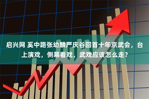 启兴网 奚中路张幼麟严庆谷回首十年京武会，台上演戏，侧幕看戏，武戏应该怎么走？