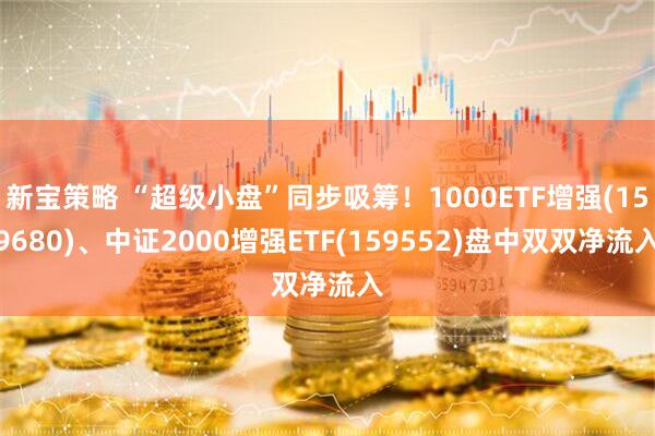 新宝策略 “超级小盘”同步吸筹！1000ETF增强(159680)、中证2000增强ETF(159552)盘中双双净流入
