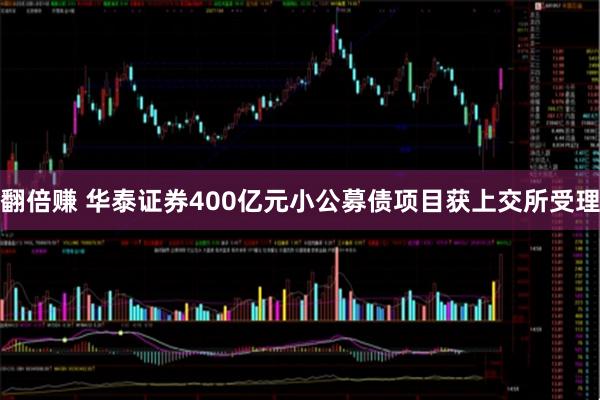 翻倍赚 华泰证券400亿元小公募债项目获上交所受理