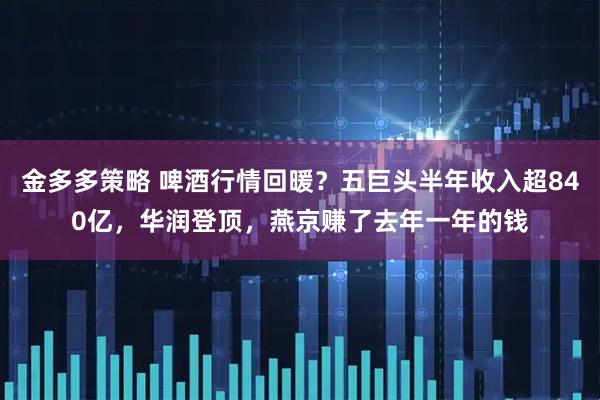 金多多策略 啤酒行情回暖？五巨头半年收入超840亿，华润登顶，燕京赚了去年一年的钱