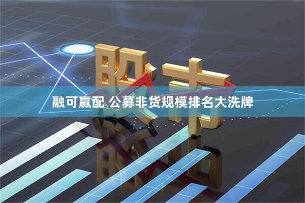 融可赢配 公募非货规模排名大洗牌